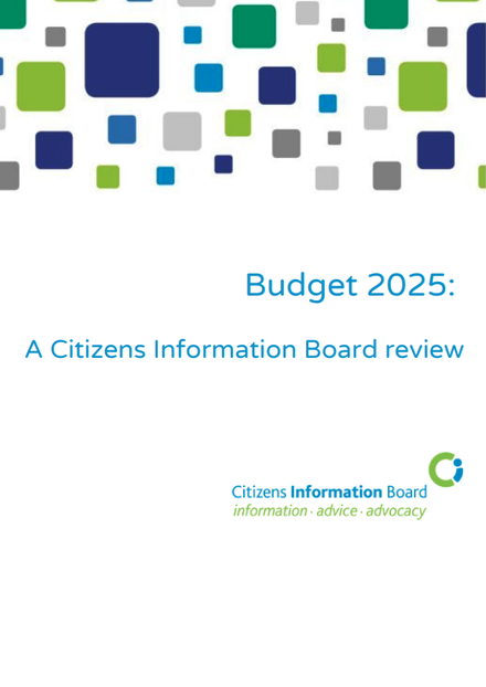 CIB review of 2025 Budget