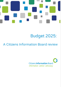 Budget 2025: A Citizens Information Board review (October 2024)