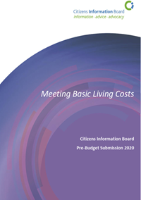 Pre-Budget Submission 2020: Meeting Basic Living Costs